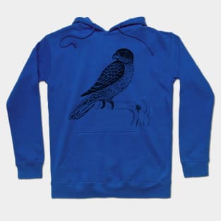 Bird Hoodie